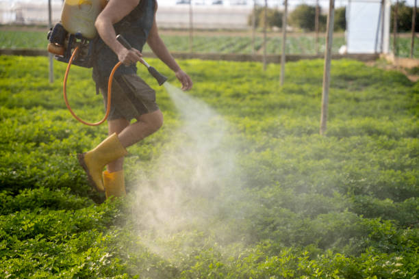 Best Commercial Pest Control Services  in Wilton, CA