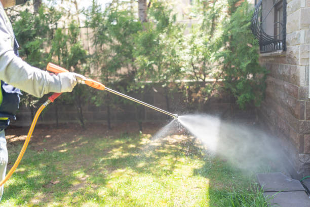 Insect Control in Wilton, CA